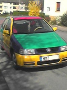 Polo Harlekin